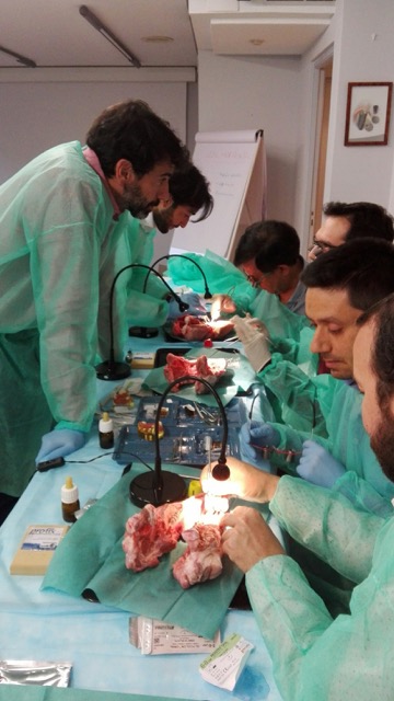 curso Regeneración Ósea en Cirugía de Implantes