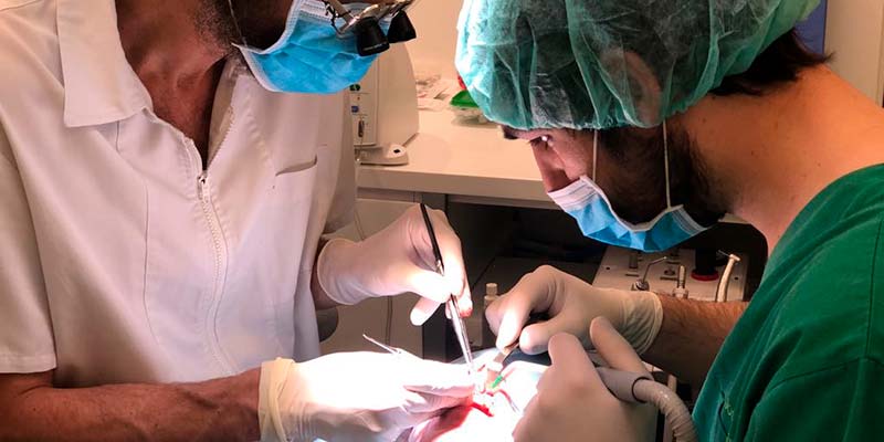 Residencias Clínicas PerioCentrum Academy - Marzo