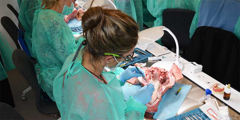 La terapia periodontal como un todo