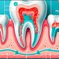 Fases del tratamiento periodontal: prevención, terapia básica y mantenimiento